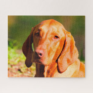 Hungarian Vizla Dog Jigsaws. Jigsaw Puzzle