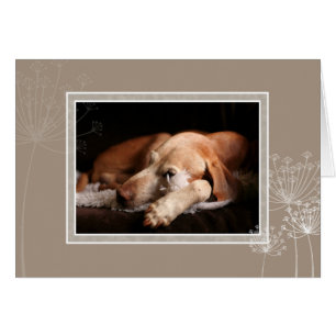 Hungarian Vizsla Blank Card 004