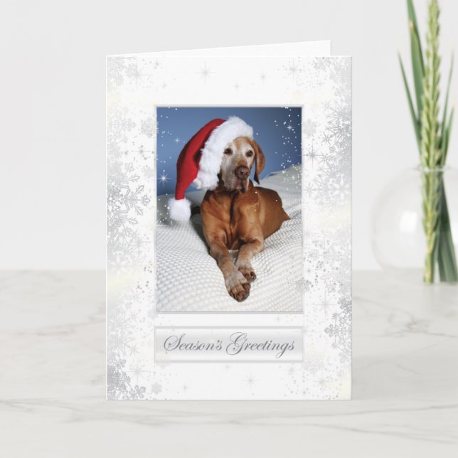 Hungarian Vizsla Christmas Card 007 (Front)