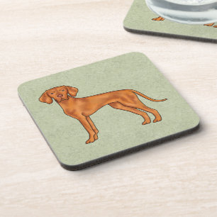 Hungarian Vizsla Cute Pointer Dog Drawing Green Coaster