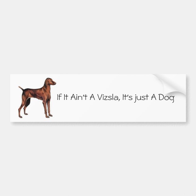 Hungarian_Vizsla, If It Ain't A Vizsla, It's ju... Bumper Sticker (Front)
