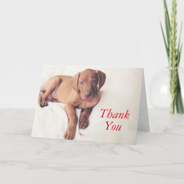 Hungarian Vizsla Puppy Thank You Card (Front)