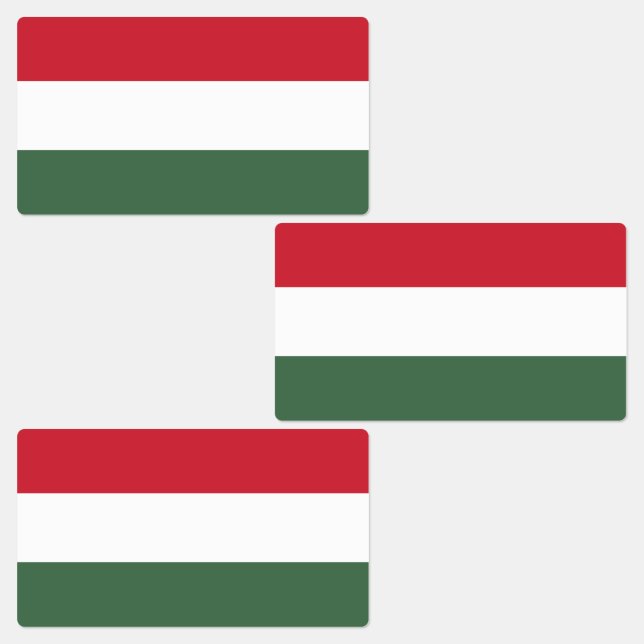 Hungary Flag (Group)