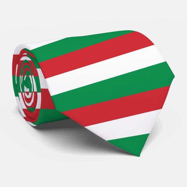 Hungary Flag Tie (Rolled)