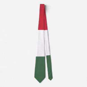 Hungary flag  tie