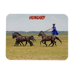 Hungary horseman and horses magnet