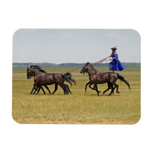 Hungary horseman and horses magnet