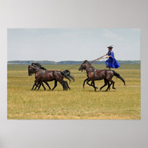 Hungary horseman and horses poster