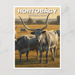 Hungary Hortobagy National Park Travel Postcard