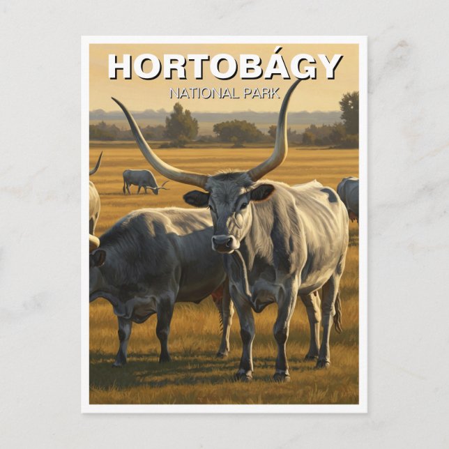 Hungary Hortobagy National Park Travel Postcard (Front)