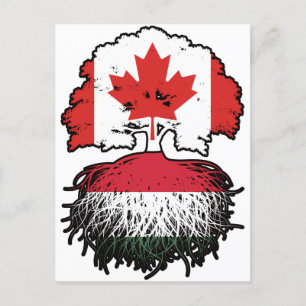 Hungary Hungarian Canadian Canada Tree Roots Flag Postcard