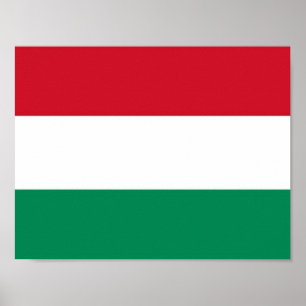 Hungary - Hungarian flag - Poster