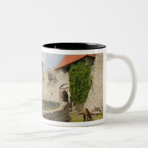 HUNGARY, Lake Balaton Region, SUMEG: Sumeg Two-Tone Coffee Mug