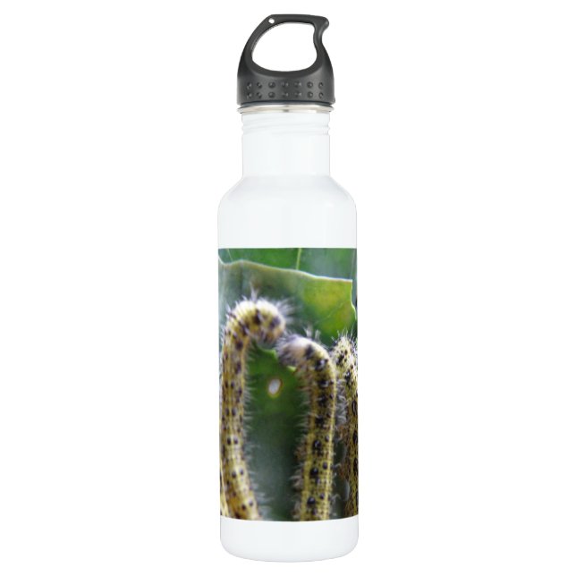 Hungry Cabbage White Caterpillars 710 Ml Water Bottle (Front)