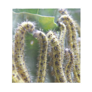 Hungry Cabbage White Caterpillars Notepad