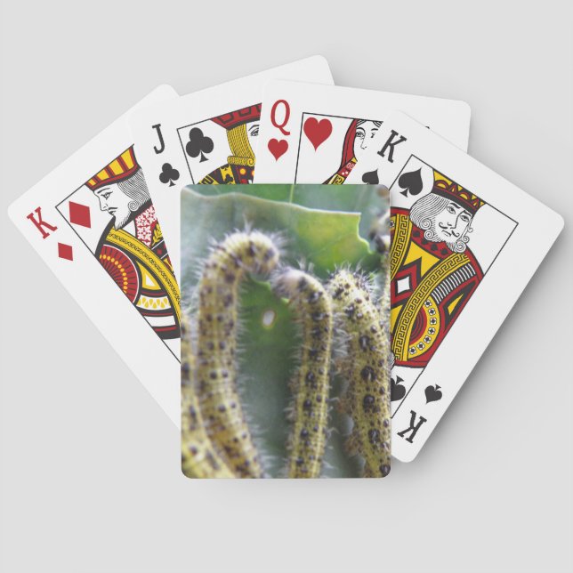 Hungry Cabbage White Caterpillars Playing Cards (Back)