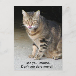 Hungry Cat Post Card