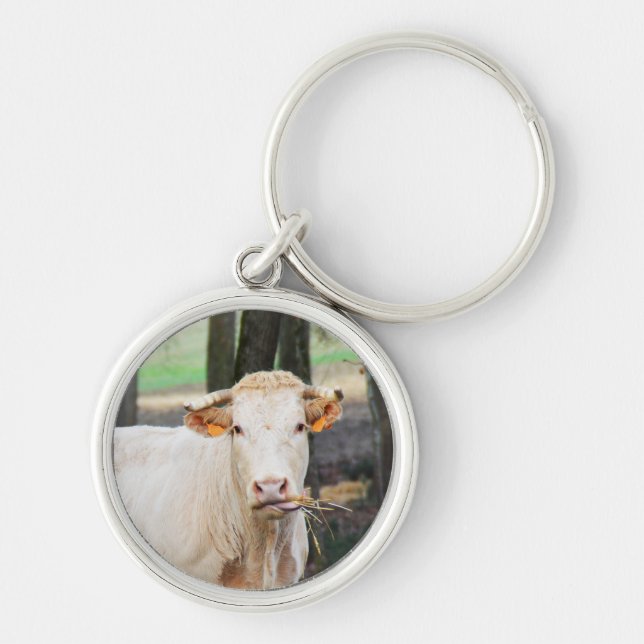 Hungry cow key ring (Front)