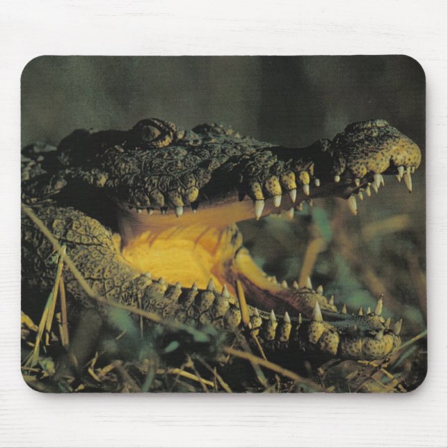 Hungry Croc Mouse Mat (Front)