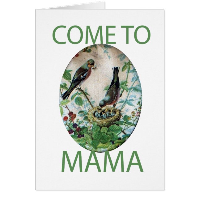 Hungry Hearts: Mama’s Got Food!. Come To Mama (Front)