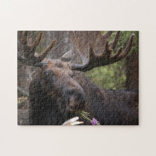Hungry, Hungry Moose Jigsaw Puzzle (Horizontal)
