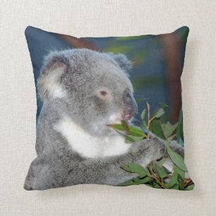 Hungry Koala Cushion