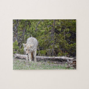Hungry Like a Wolf - Yellowstone - 8x10 - 110 pcs Jigsaw Puzzle