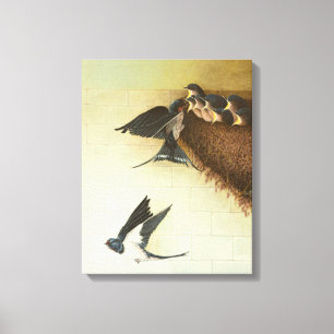 Hungry Mouths 2011 Canvas Print