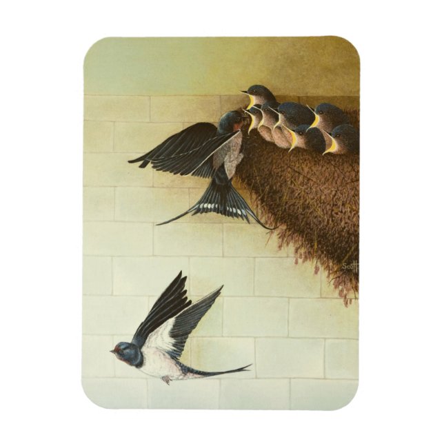 Hungry Mouths 2011 Magnet (Vertical)