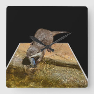 Hungry Otter Eating Fish,Popout Art Wall Clock. Square Wall Clock