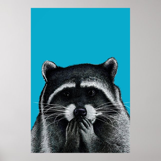Hungry Racoon on blue Poster (Front)