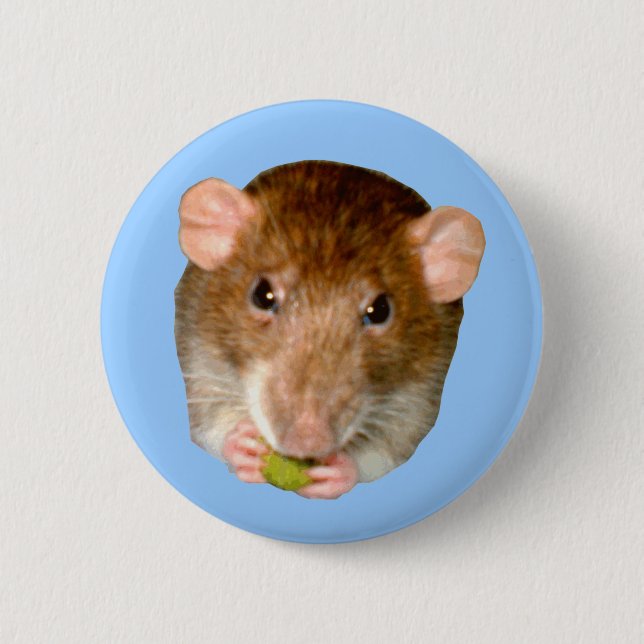 Hungry Rat Button (Front)