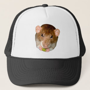 Hungry Rat Hat