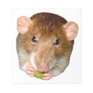 Hungry Rat Notepad