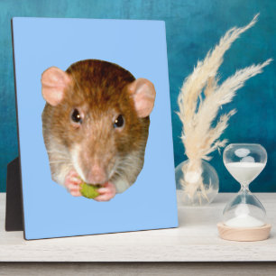 Hungry Rat Plaque