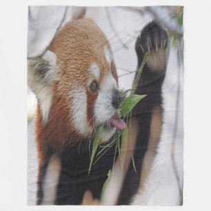 Hungry Red Panda Fleece Blanket