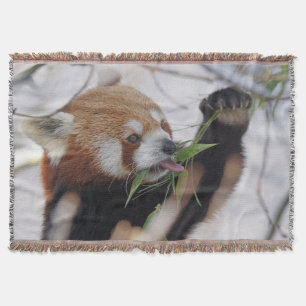 Hungry Red Panda Throw Blanket