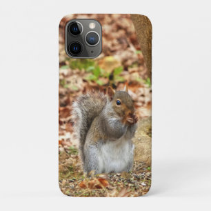 Hungry Squirrel iPhone 11 Pro Case