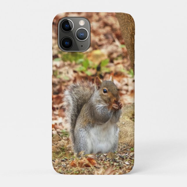 Hungry Squirrel Case-Mate iPhone Case (Back)