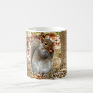 Hungry Squirrel Coffee Mug