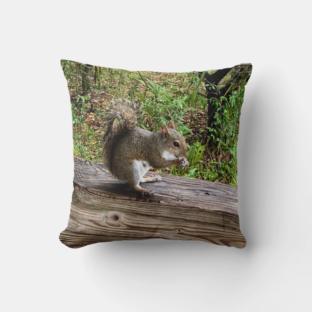Hungry Squirrel Cushion (Front)