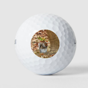 Hungry Squirrel Golf Balls