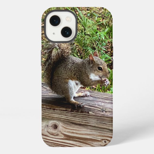 Hungry Squirrel iPhone Cases (Back)
