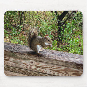 Hungry Squirrel Mouse Mat