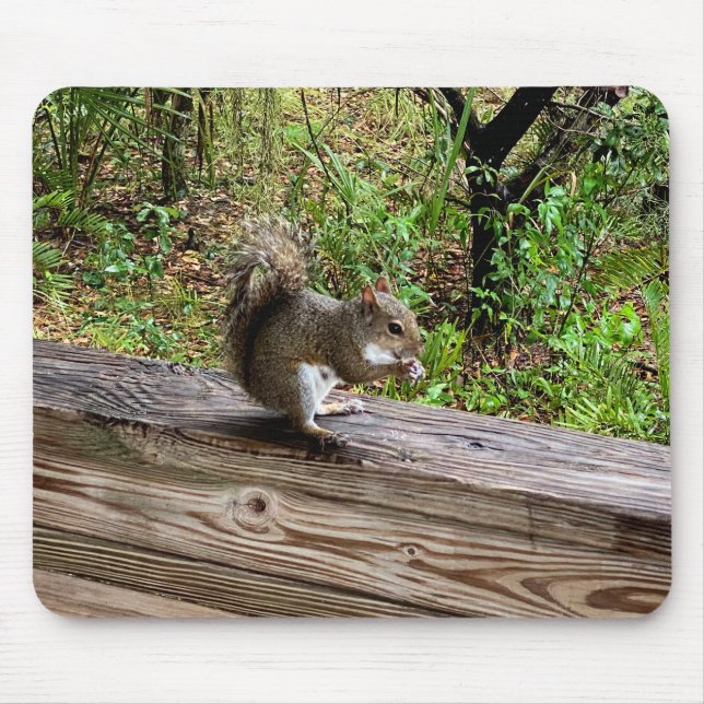 Hungry Squirrel Mouse Mat (Front)