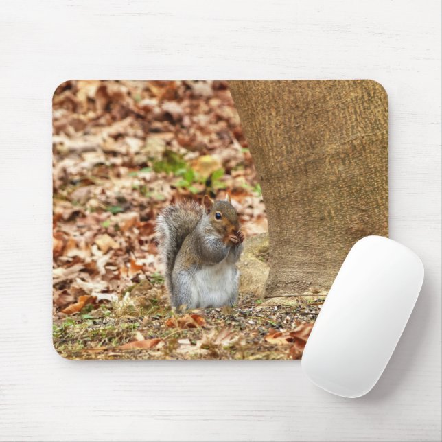 Hungry Squirrel Mouse Mat (With Mouse)