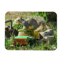 Hungry Squirrel on Toy Truck Magnet