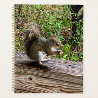 Hungry Squirrel Planner