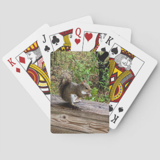 Hungry Squirrel Playing Cards