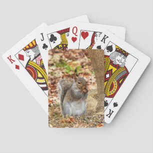 Hungry Squirrel Playing Cards